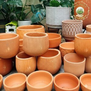 Chậu cây đất nung