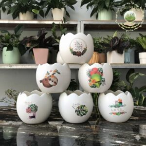 Chậu cây hình vỏ trứng